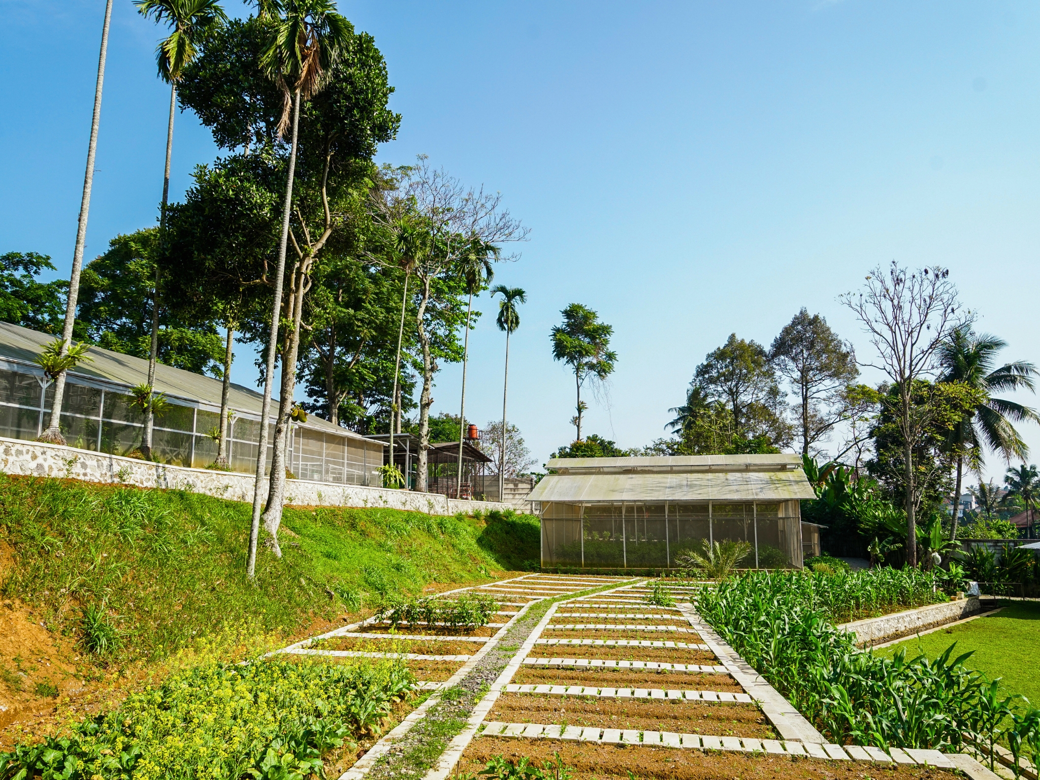 Bagian luar green house Omah Klekaran